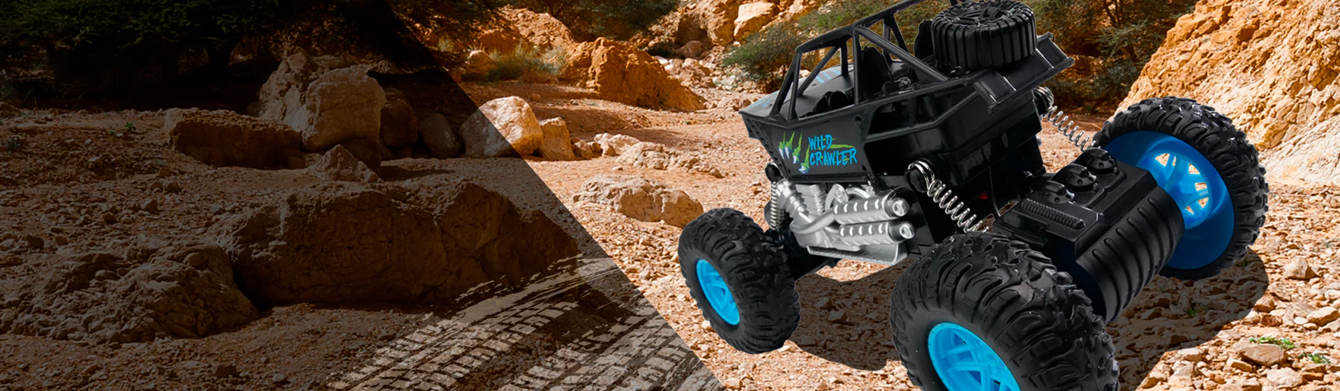 Award-Winning Fun for Every Explorer
